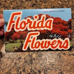 Postcard Set, Vintage, Florida Flowers
